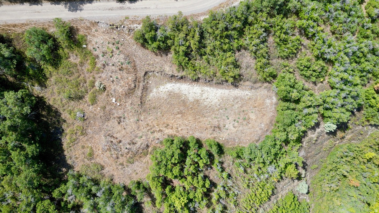 SKYLINE HEIGHTS - Land