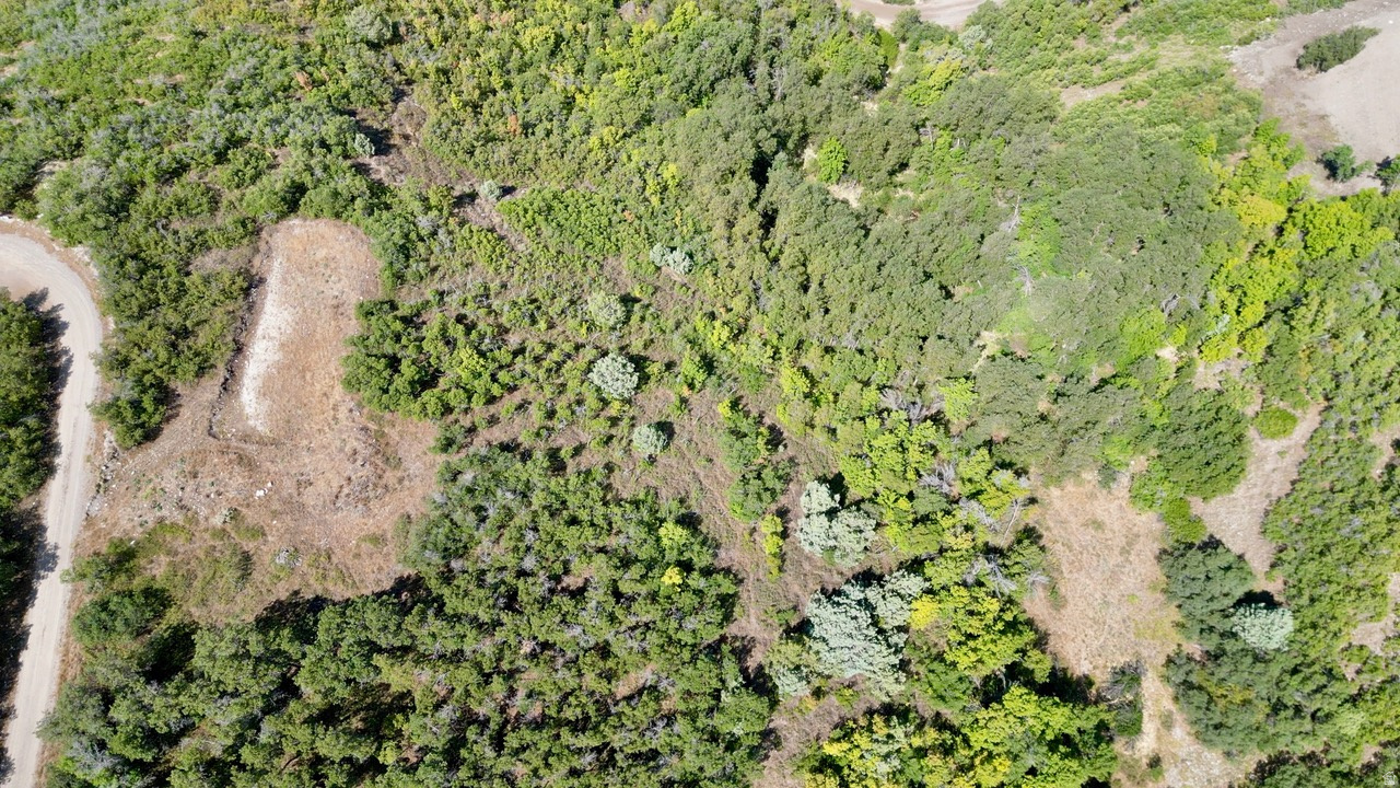 SKYLINE HEIGHTS - Land