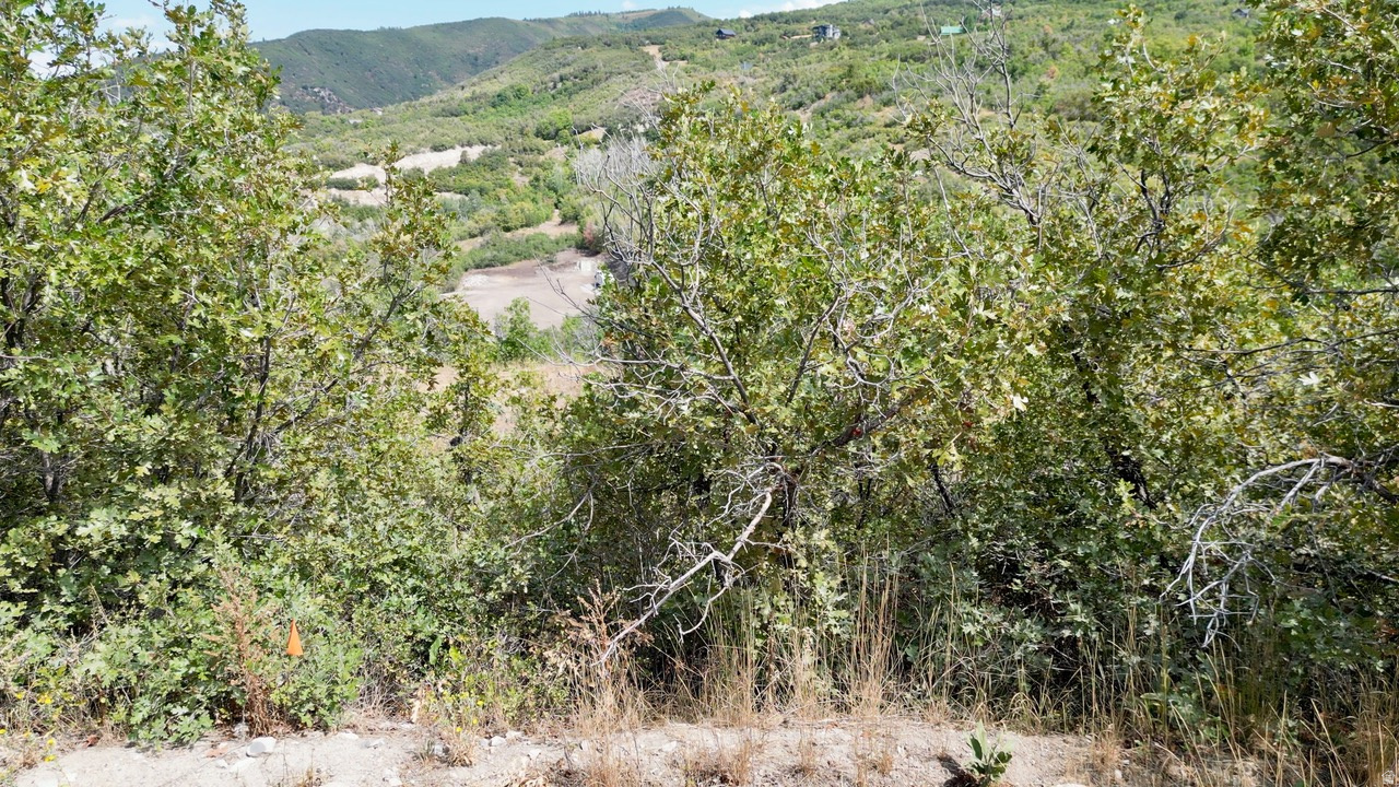 SKYLINE HEIGHTS - Land