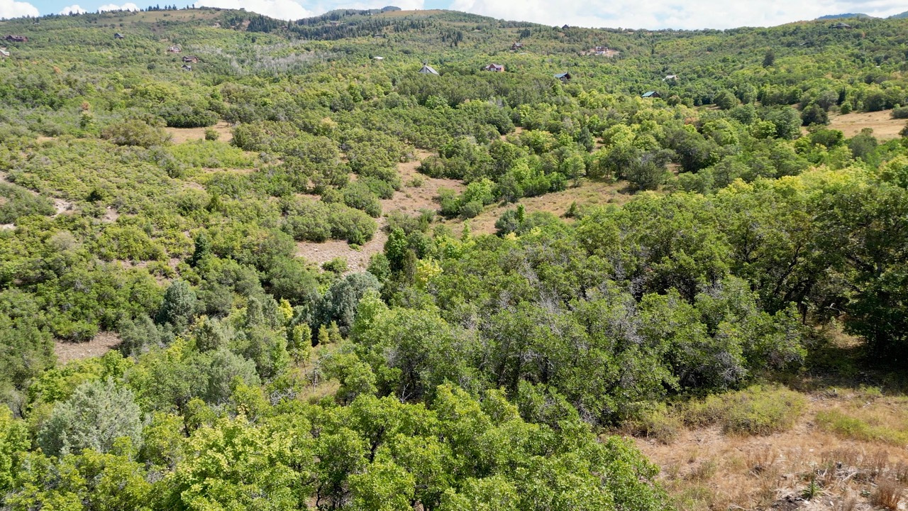 SKYLINE HEIGHTS - Land