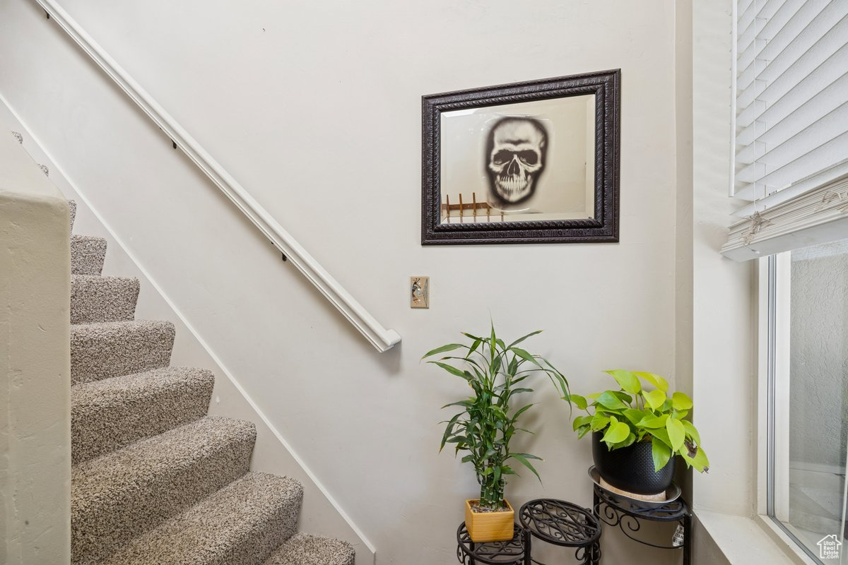 CHILD FARMS - Residential