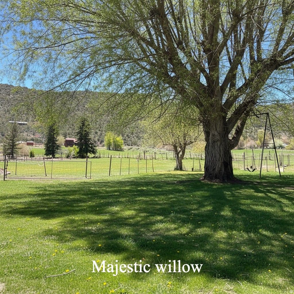 Photo of 6603 N 6500 W, Vernal, UT 84078 (MLS # 2141397)