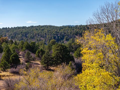 Tiny photo for 6 S NORTH FORK RD, Orderville, UT 84758 (MLS # 2132724)