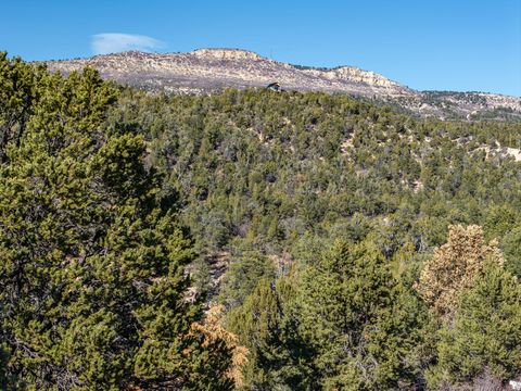 Tiny photo for 6 S NORTH FORK RD, Orderville, UT 84758 (MLS # 2132724)