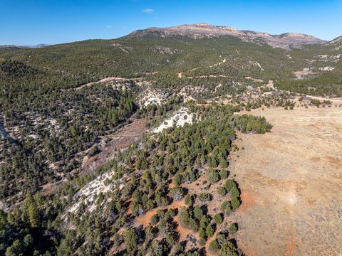 Tiny photo for 6 S NORTH FORK RD, Orderville, UT 84758 (MLS # 2132724)