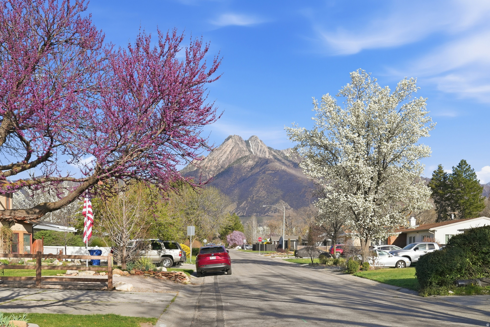 COTTONWOOD M - Residential