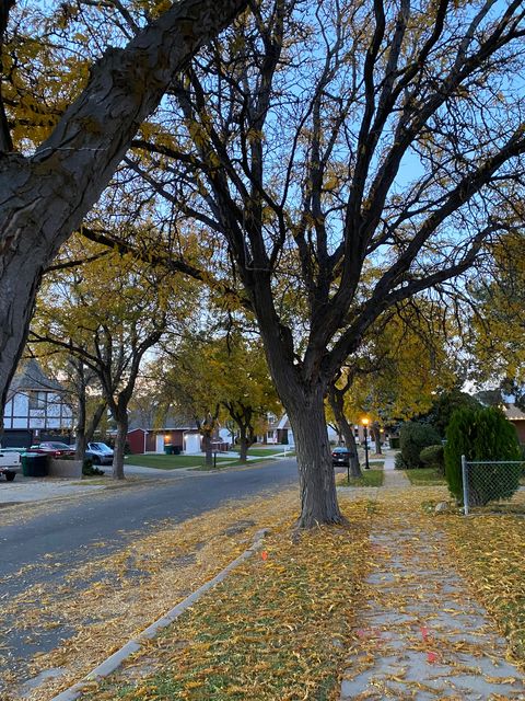 Tiny photo for 5085 S CLOVER VIEW DR, Murray, UT 84123 (MLS # 2142474)