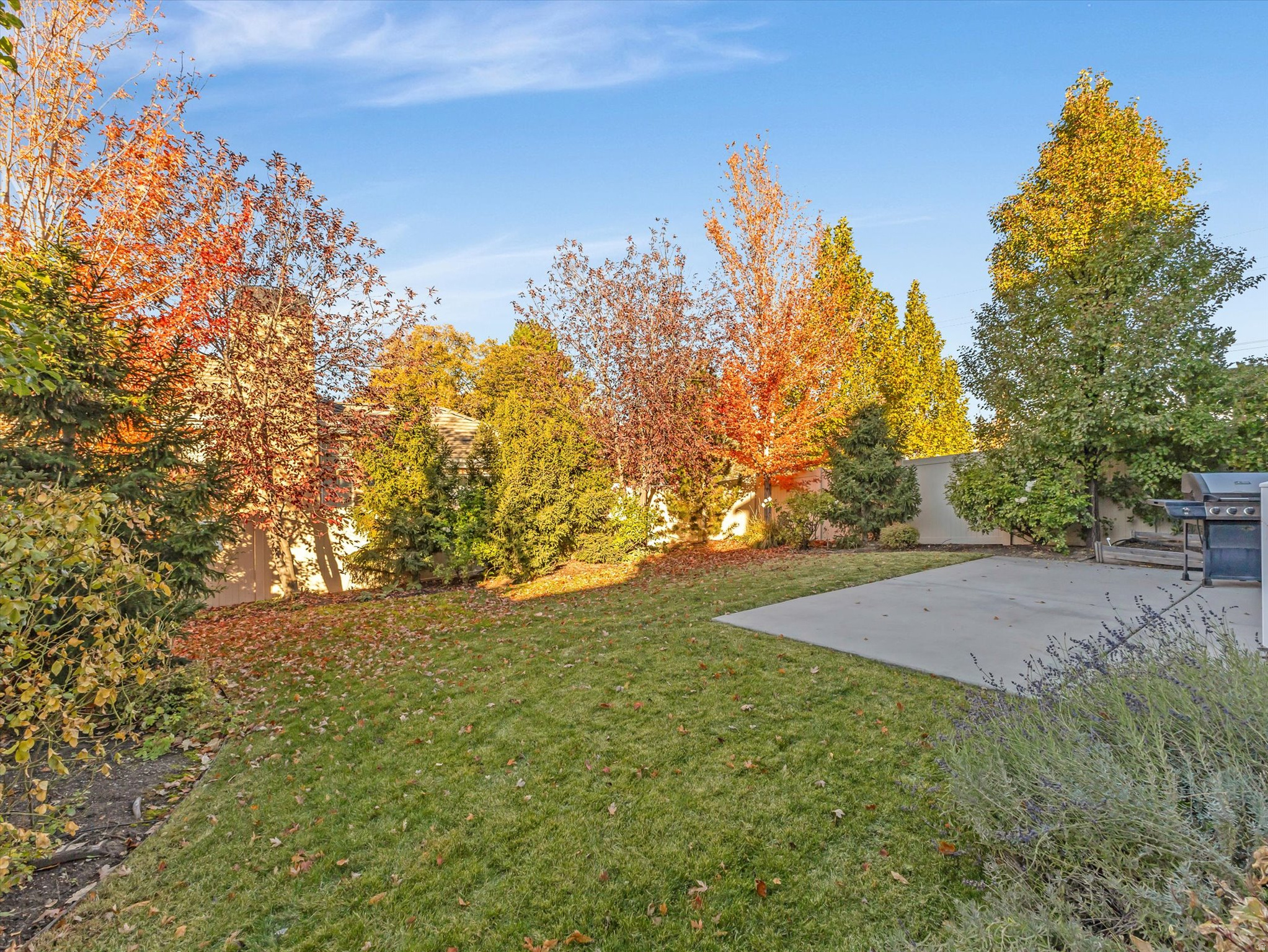 OLYMPUS ORCHARDS - Residential