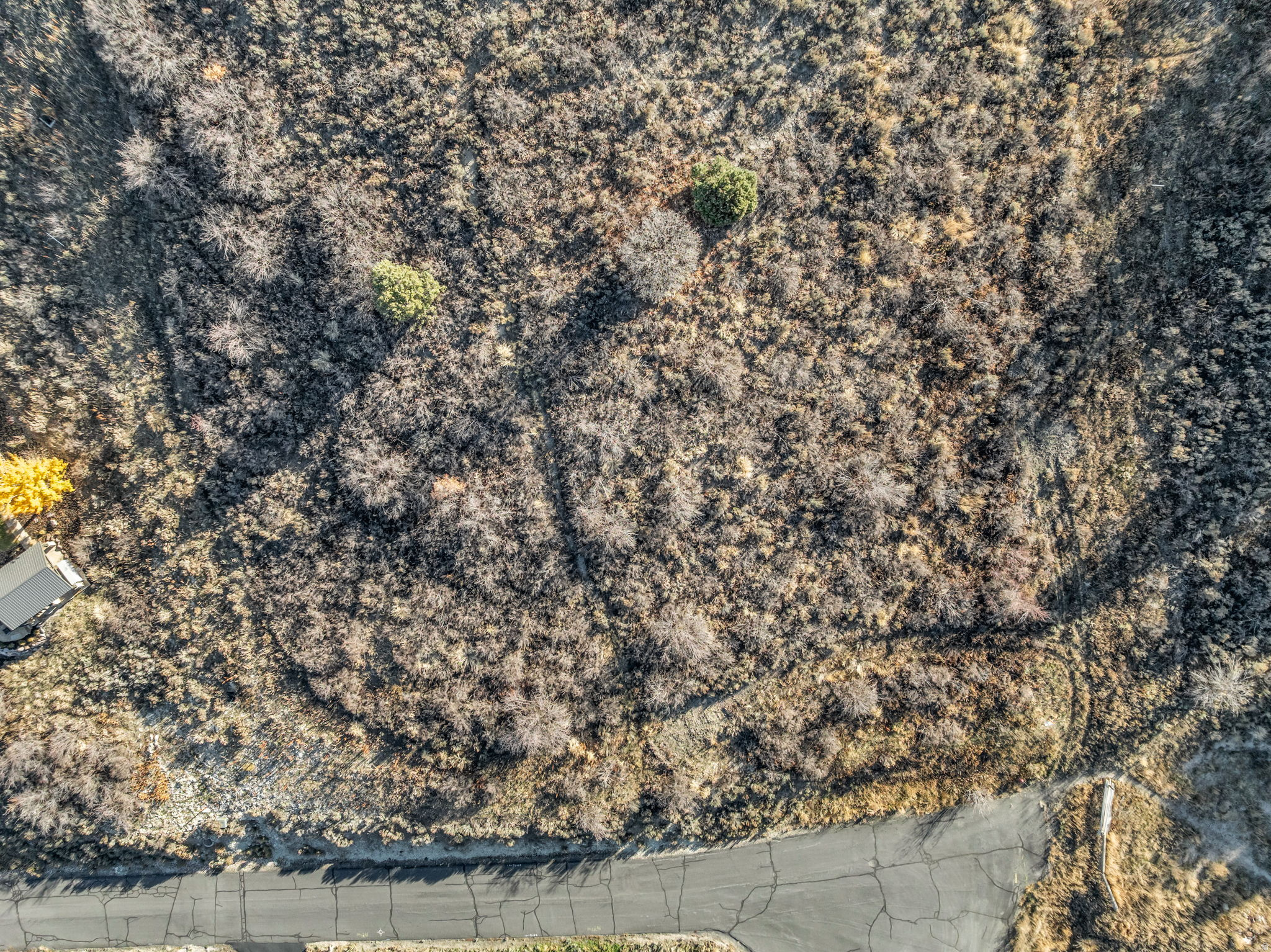 SUMMIT AT SKI LAKE - Land
