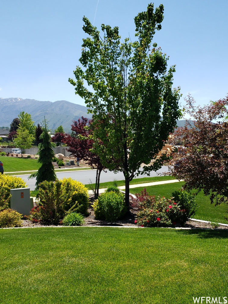 HARVEST RIDGE - Residential