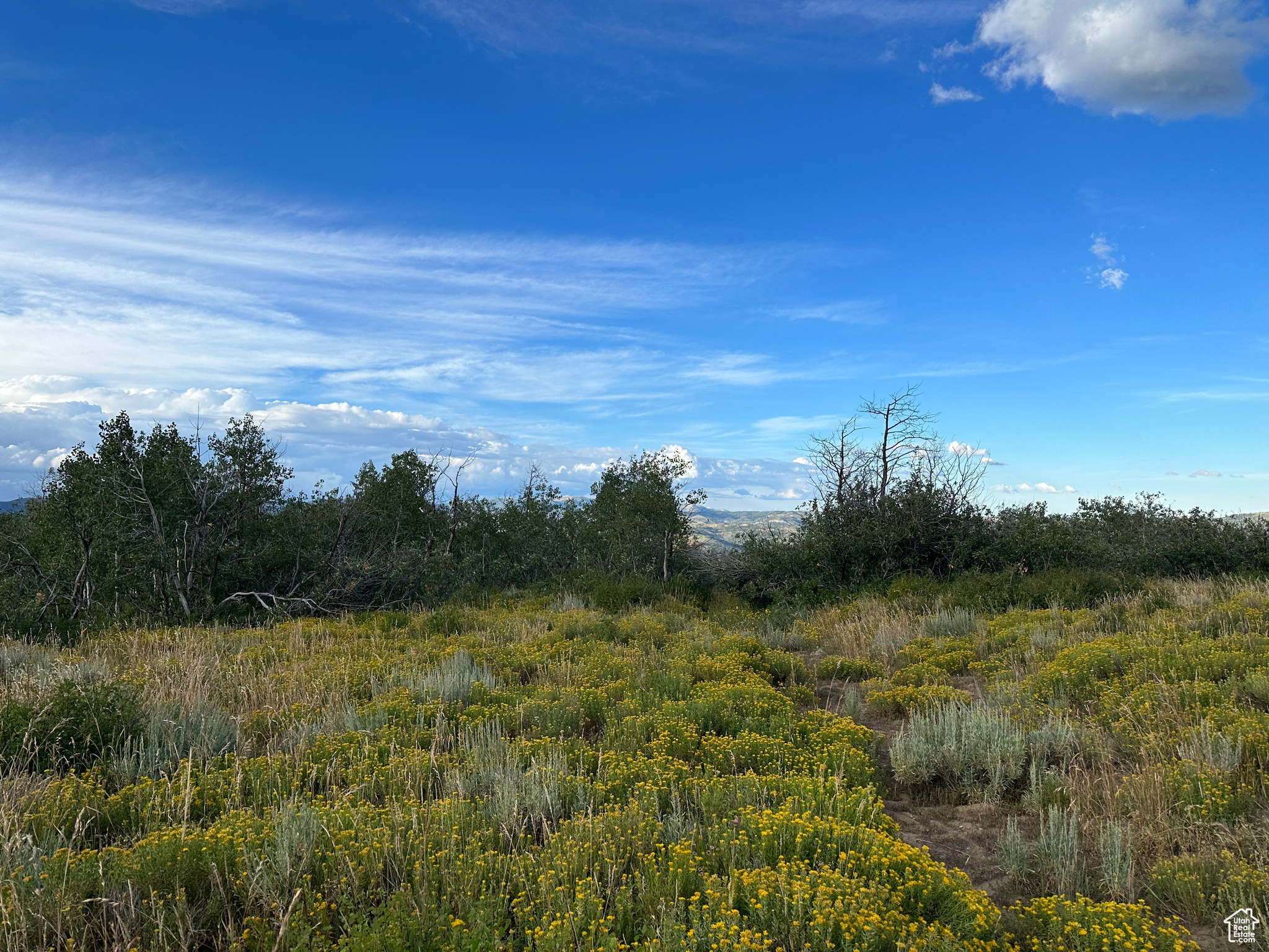 SOLDIER SUMMIT ESTATES - Land