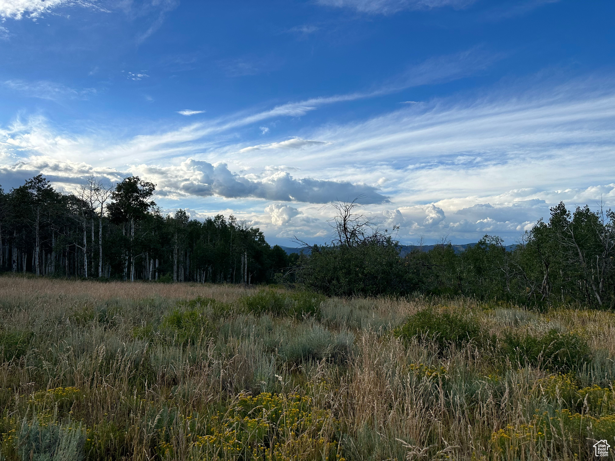SOLDIER SUMMIT ESTATES - Land