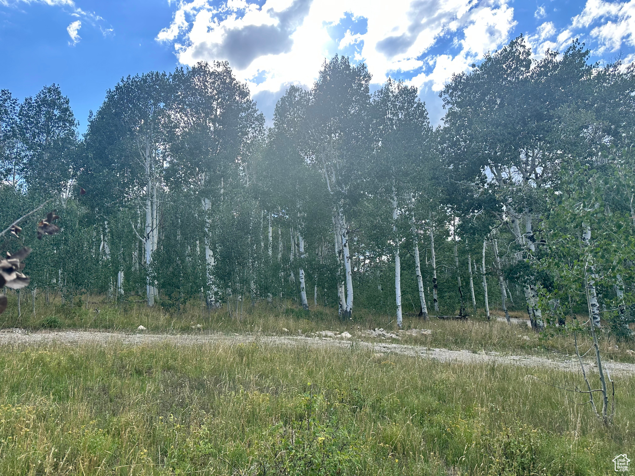 SOLDIER SUMMIT ESTATES - Land