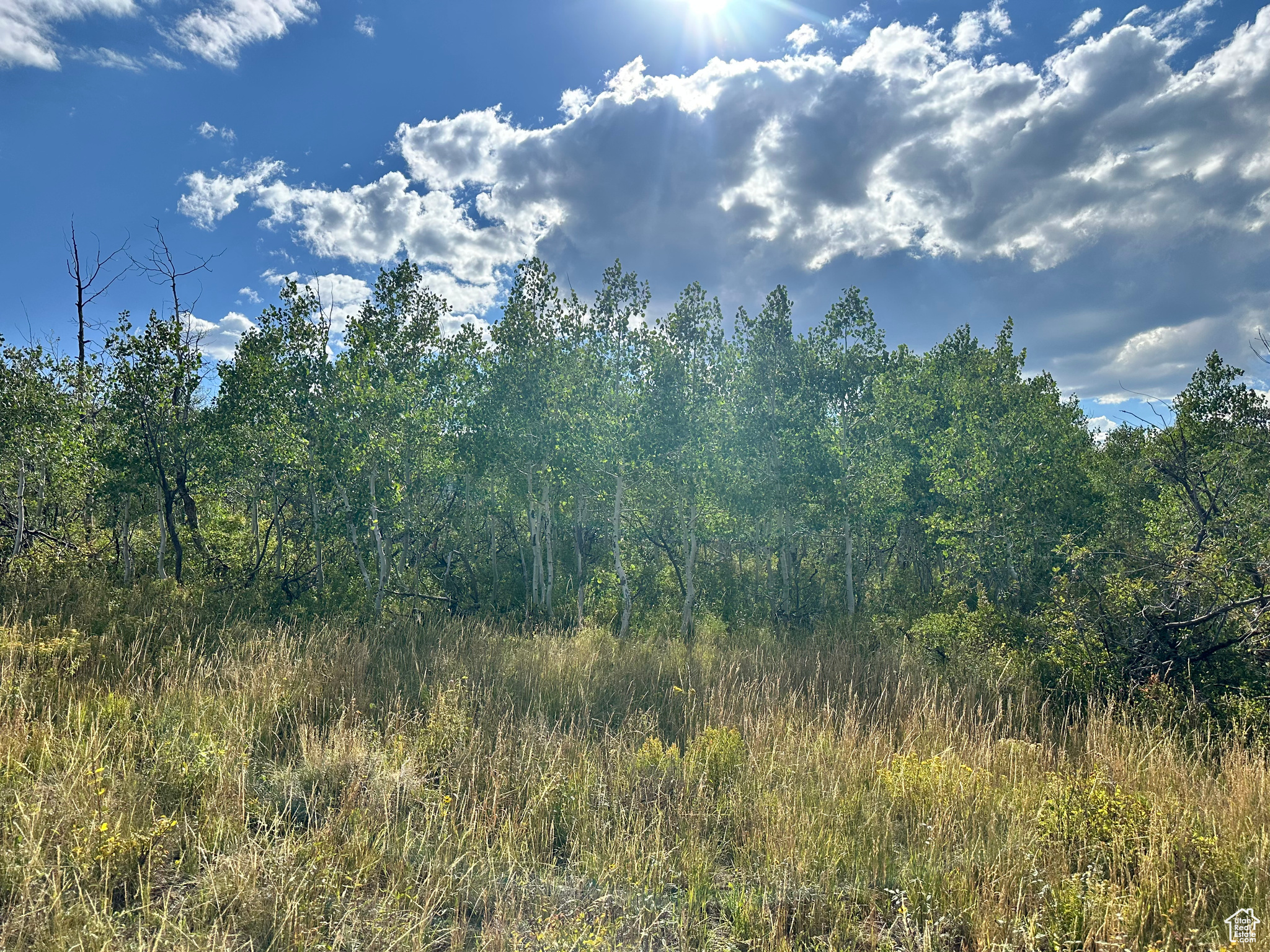 SOLDIER SUMMIT ESTATES - Land