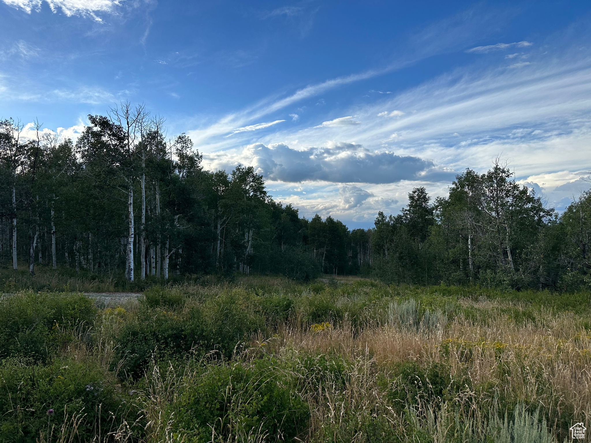 SOLDIER SUMMIT ESTATES - Land