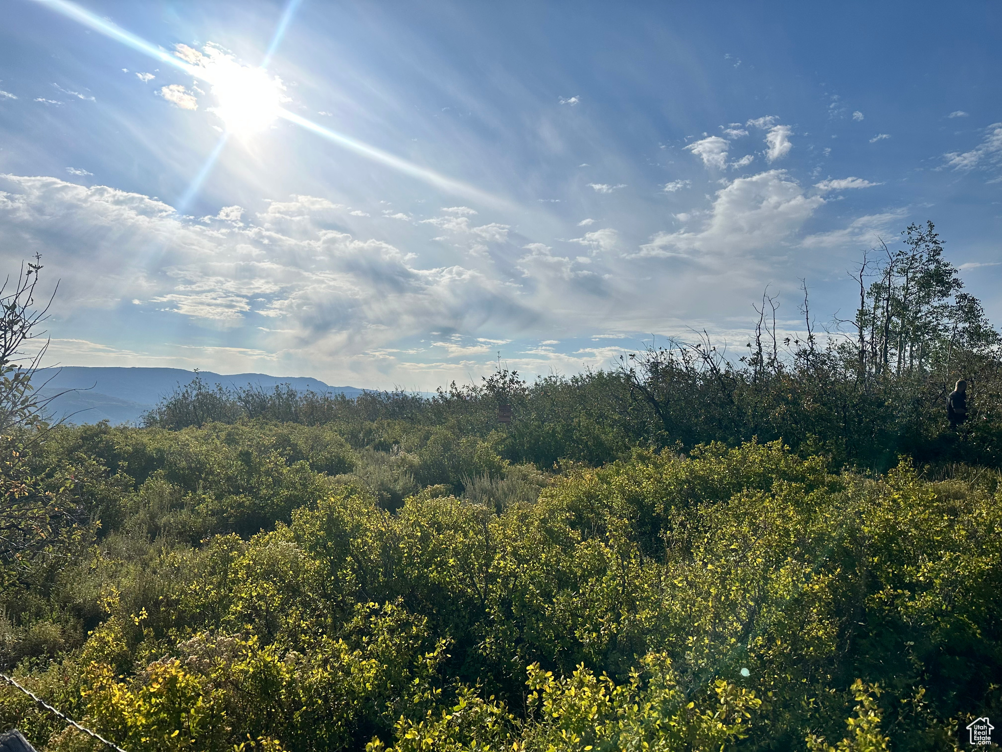 SOLDIER SUMMIT ESTATES - Land