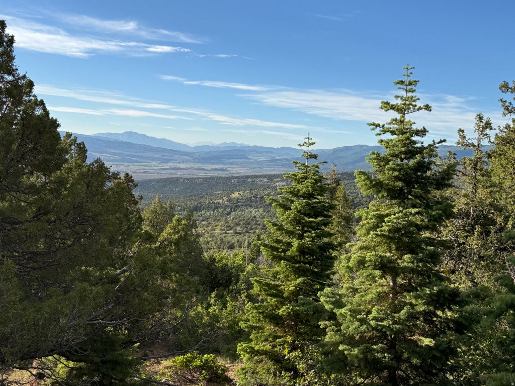 Photo of 16 PINE CREST DR #16, Mt Pleasant, UT 84647 (MLS # 2166512)