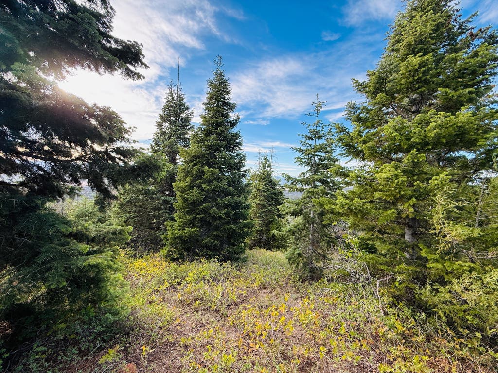 Photo of 16 PINE CREST DR #16, Mt Pleasant, UT 84647 (MLS # 2166512)