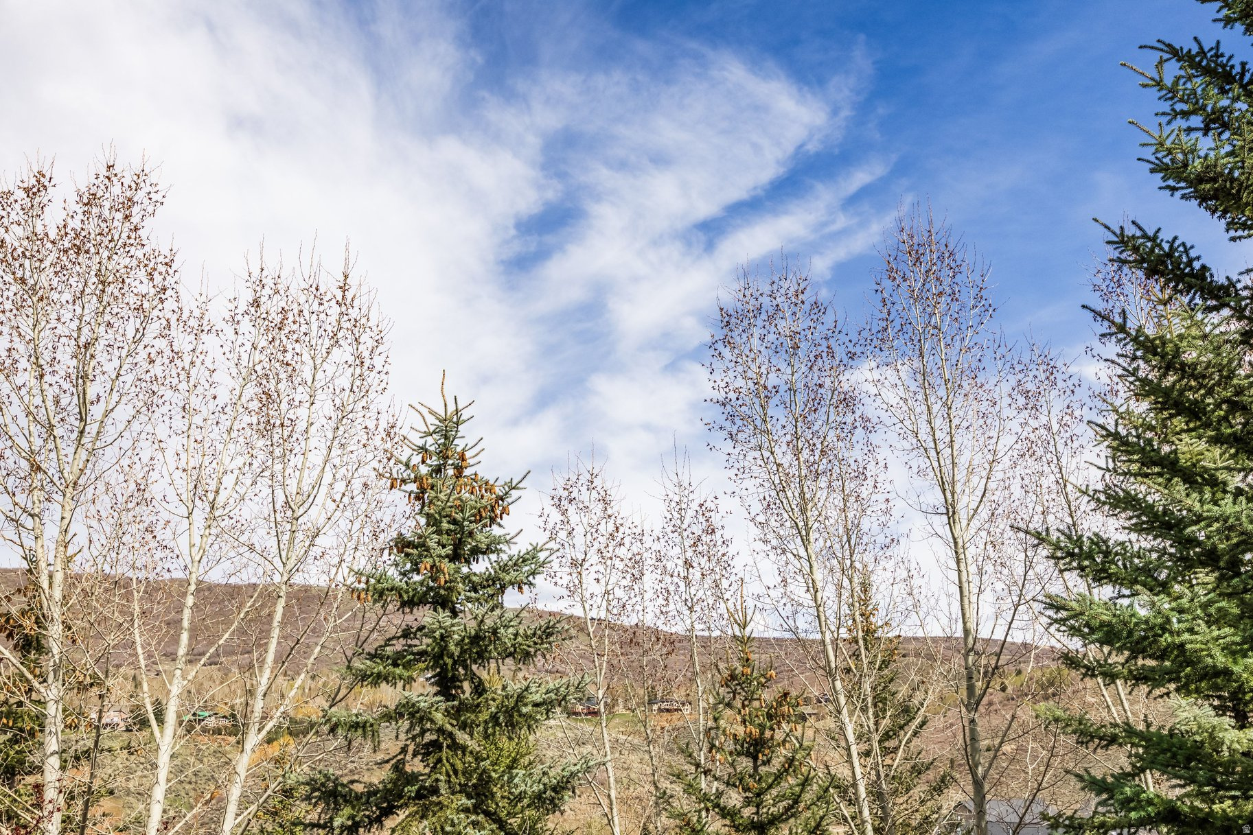 CANYON LINKS - Residential