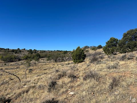 Vacant Land For Sale - Land<br/> Monticello, UT 84535