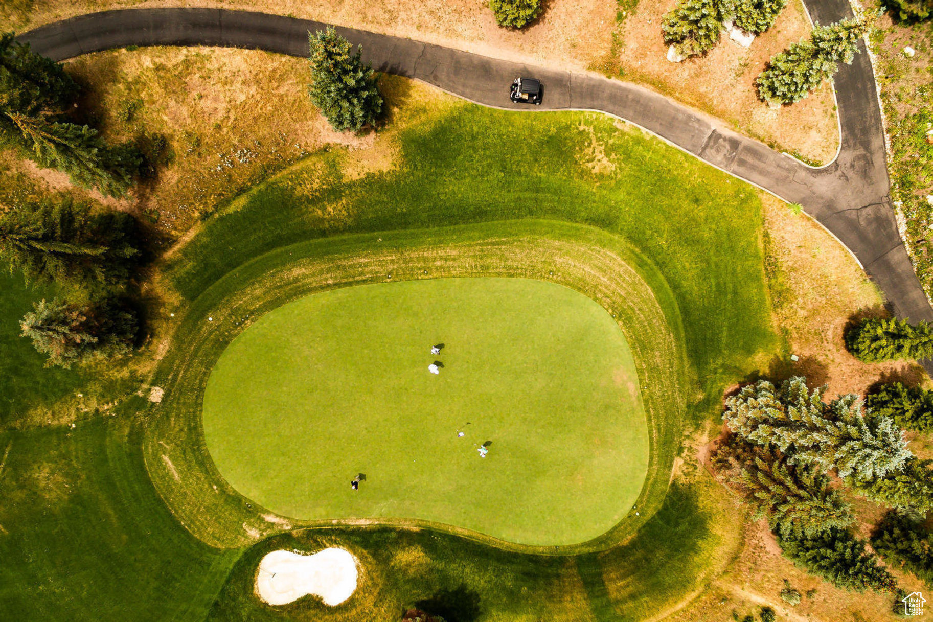 GLENWILD - Residential