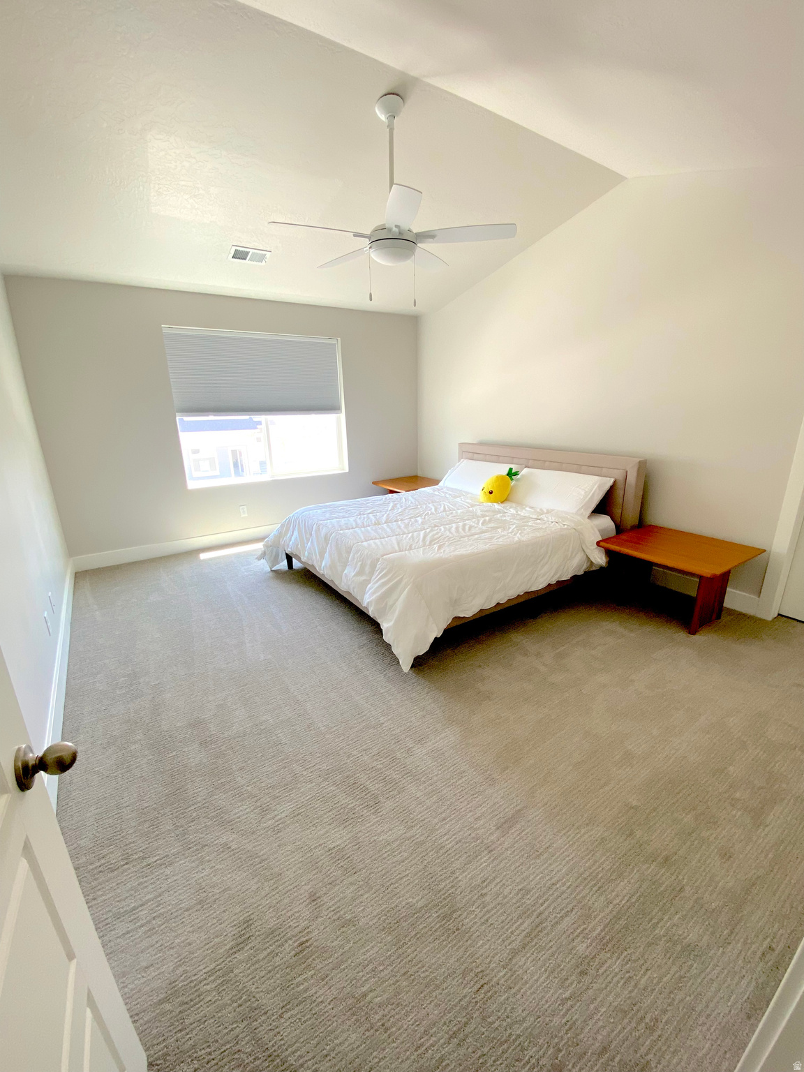 VISTA RIDGE - Residential