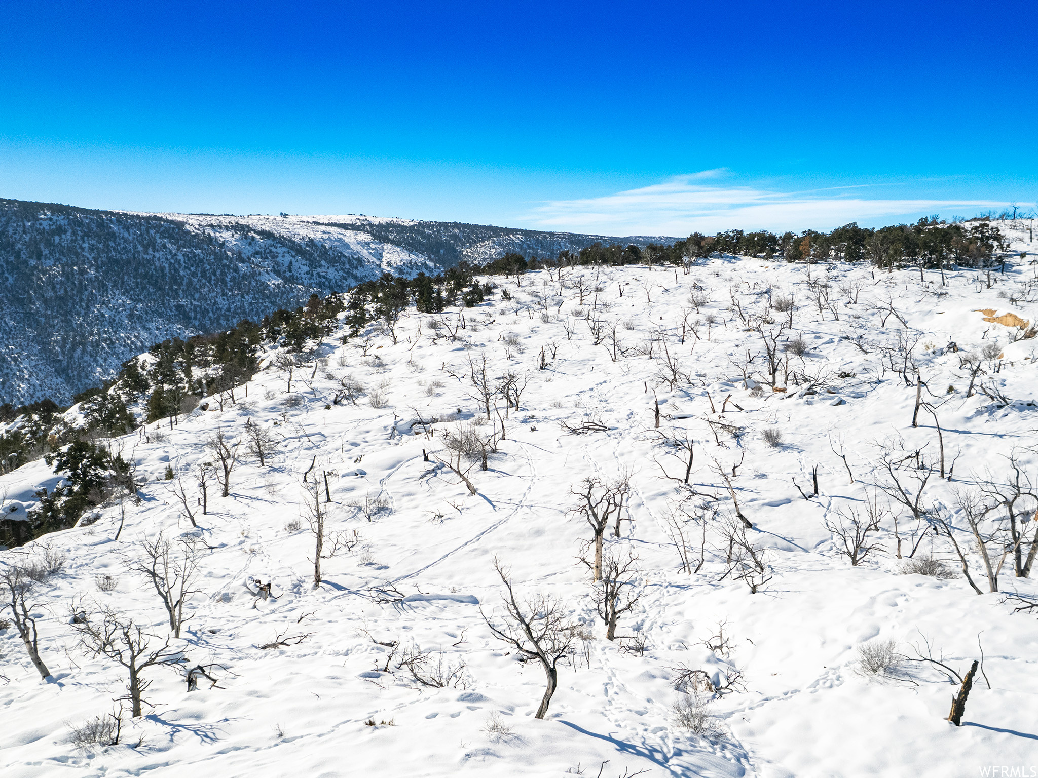 Land, Duchesne, Utah image 7