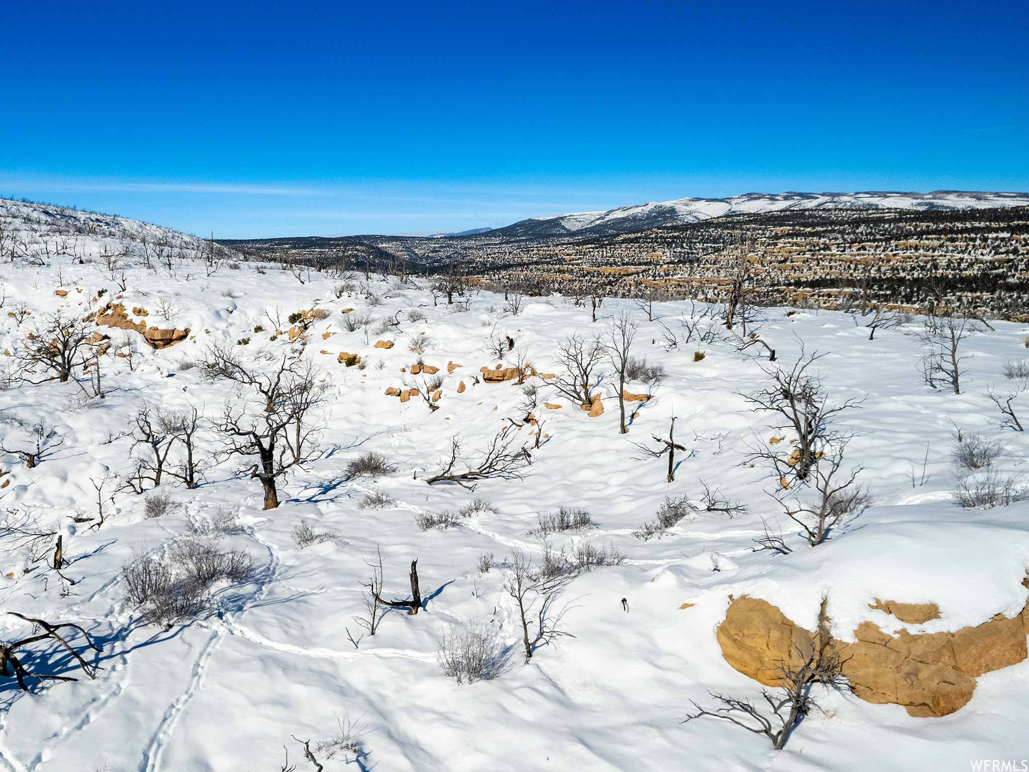 Land, Duchesne, Utah image 9