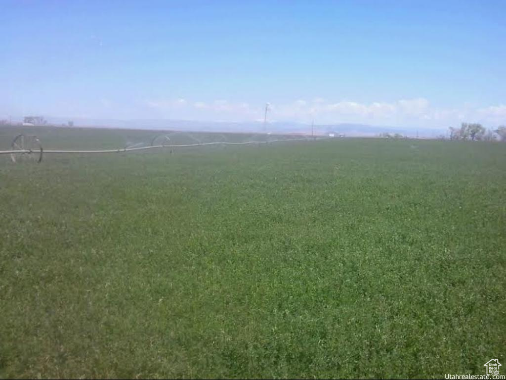 Farm, Randlett, Utah image 9