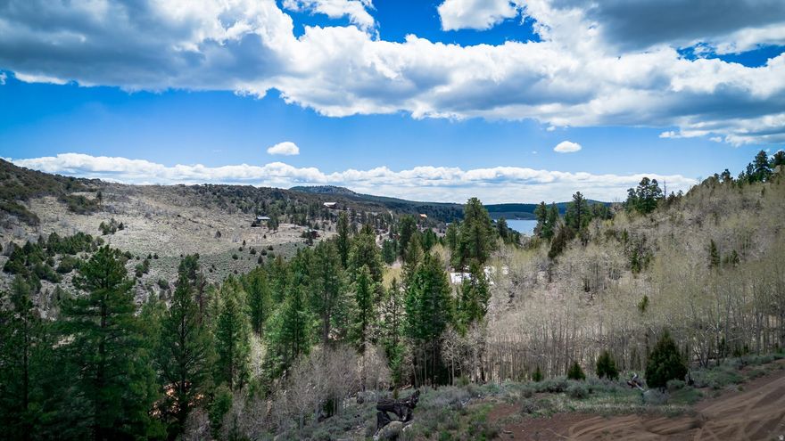 Private lot located at the end of a quiet cul-de-sac and bordering Dixie National Forest. Utilities located in the street with the HOA maintaining roads, you'll have year round access to the property.