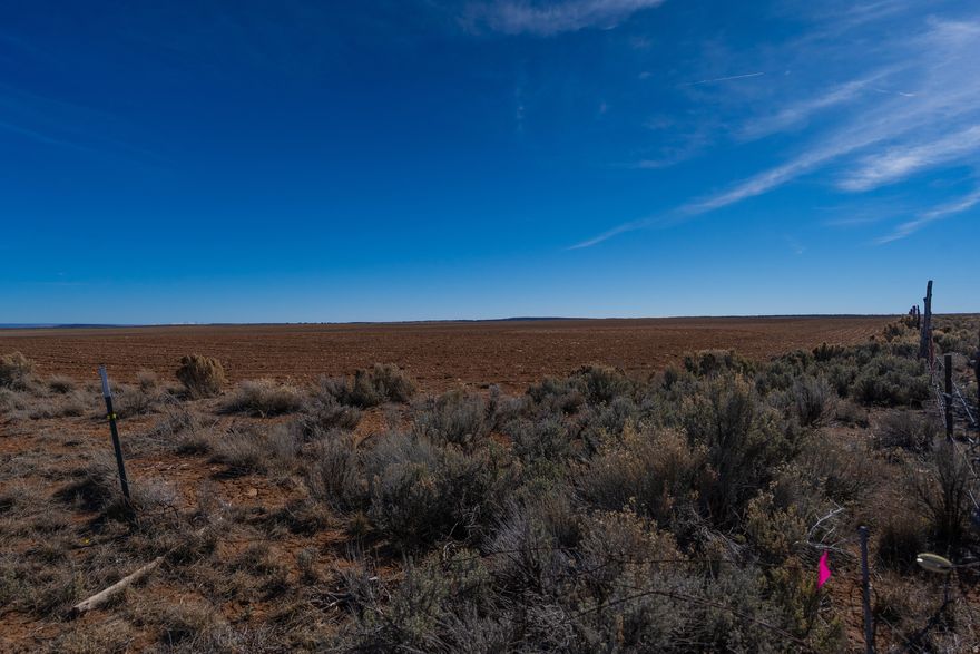 This 158-acre parcel offers a rare opportunity to acquire farmland in a prime location with beautiful views of the Blue Mountains. The land is currently being organically farmed on a winter wheat and safflower rotation with potential crop share from the farmer. Additional land is for sale in the area.