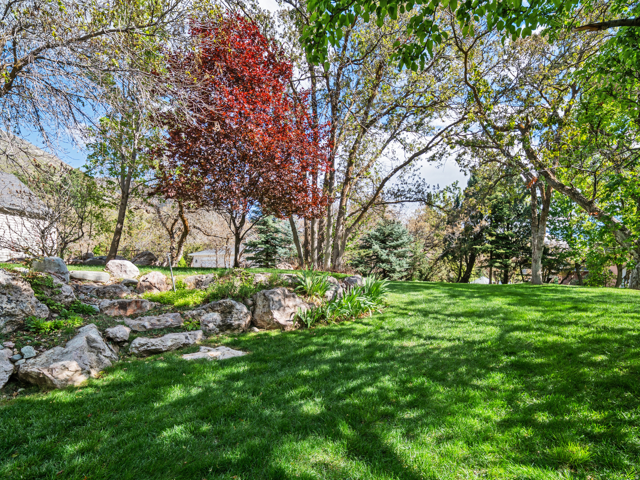 EASTWOOD - Residential