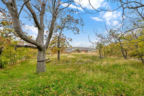 Tiny photo for 694 N WEST CAPITOL ST W, Salt Lake City, UT 84103 (MLS # 2122717)