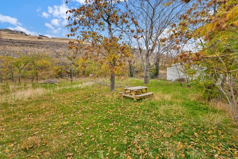 Tiny photo for 694 N WEST CAPITOL ST W, Salt Lake City, UT 84103 (MLS # 2122717)