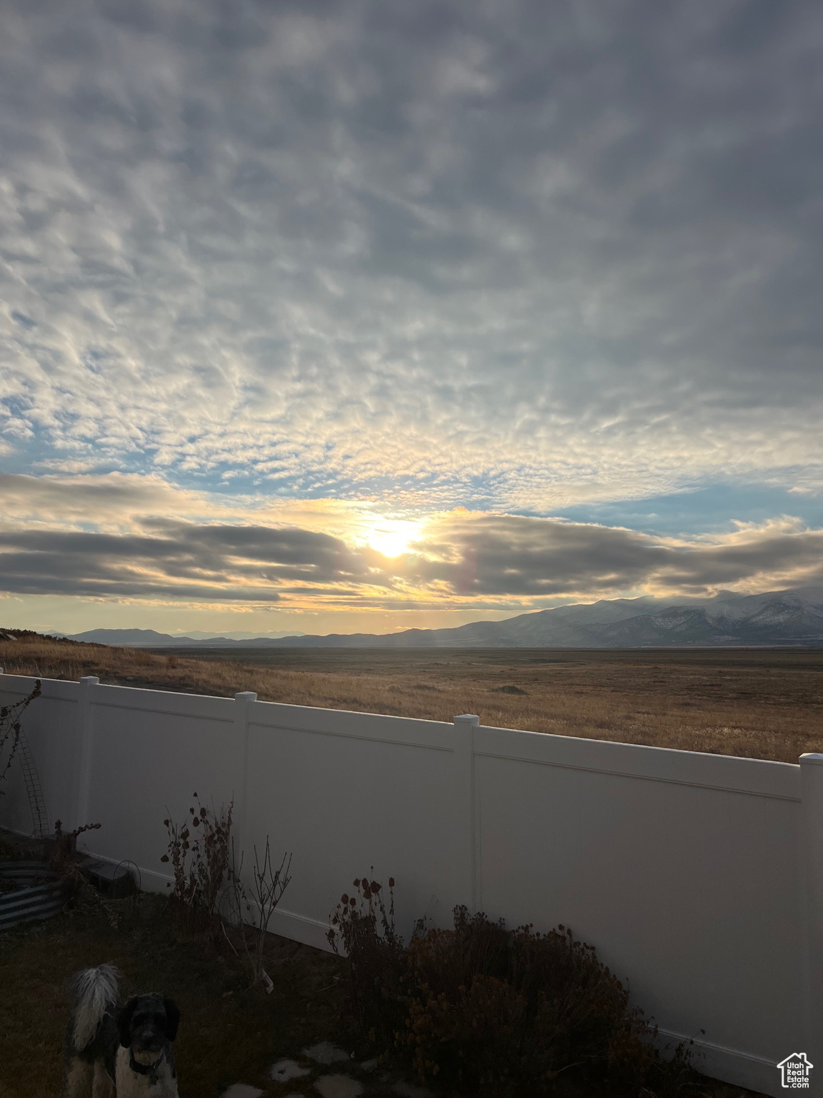 LONE TREE - Residential