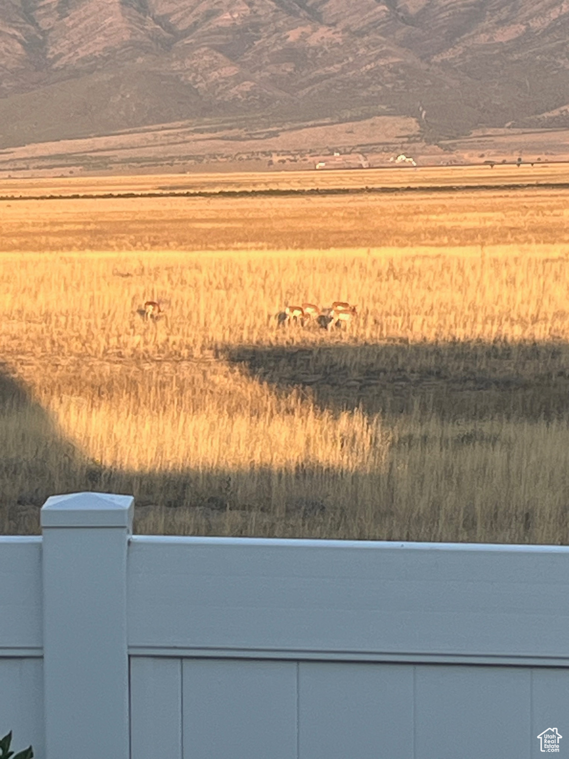 LONE TREE - Residential