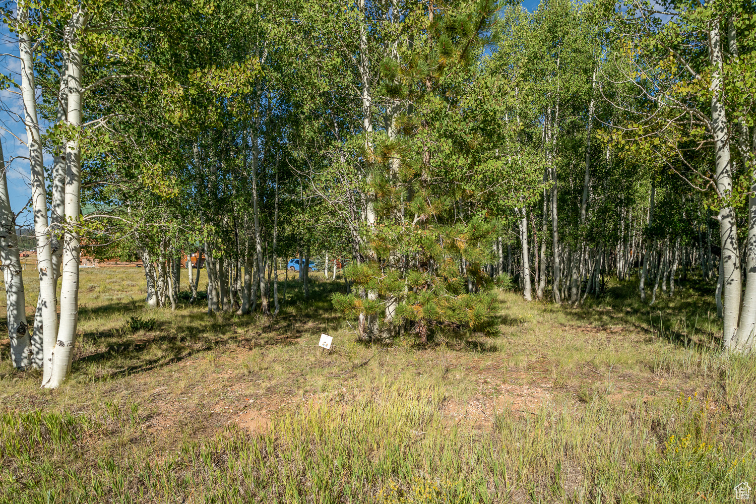 4175 N Butch Cassidy Ln #27, Duck Creek Village, Utah image 23