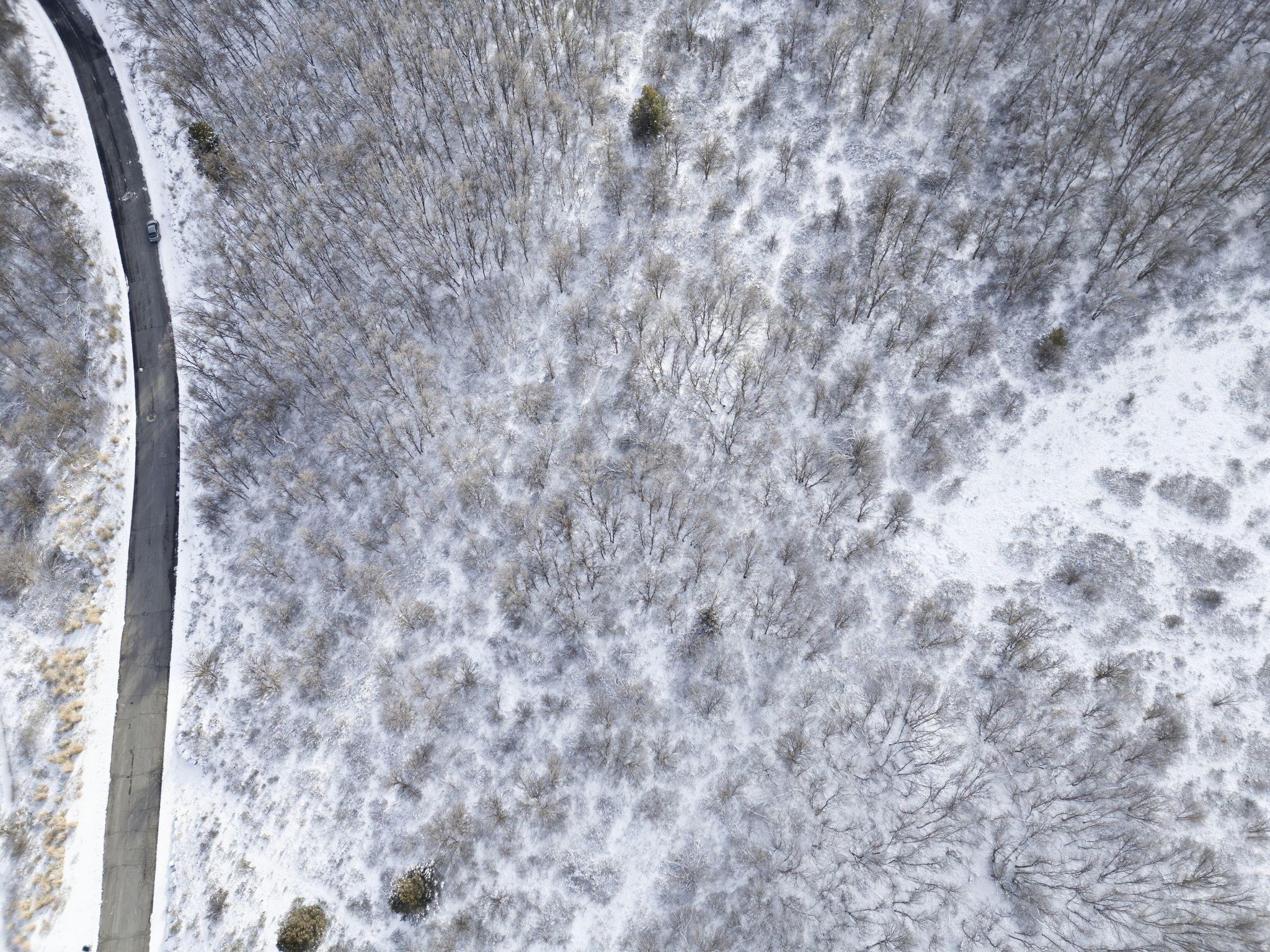 HAWKINS CREEK - Land