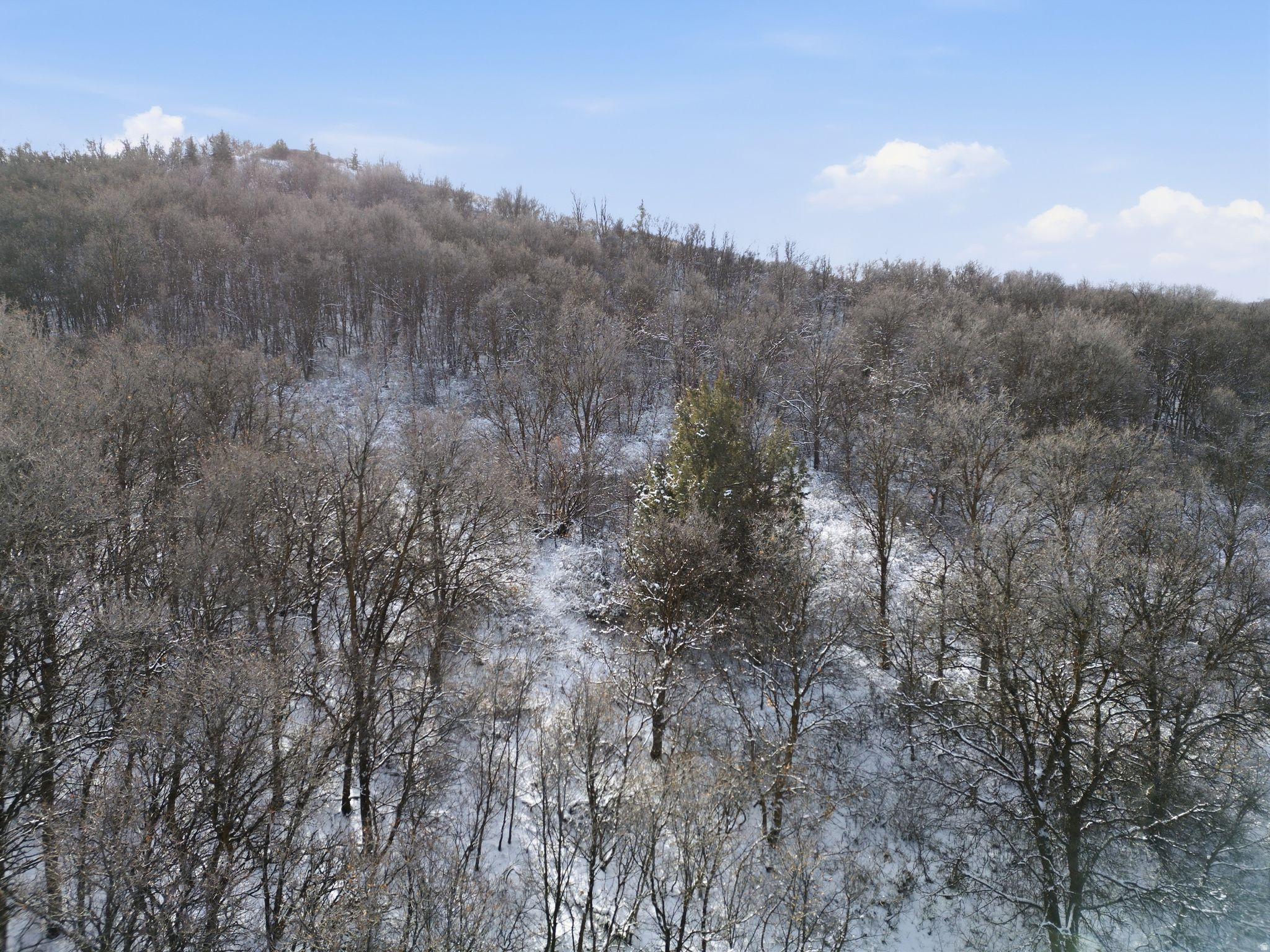 HAWKINS CREEK - Land