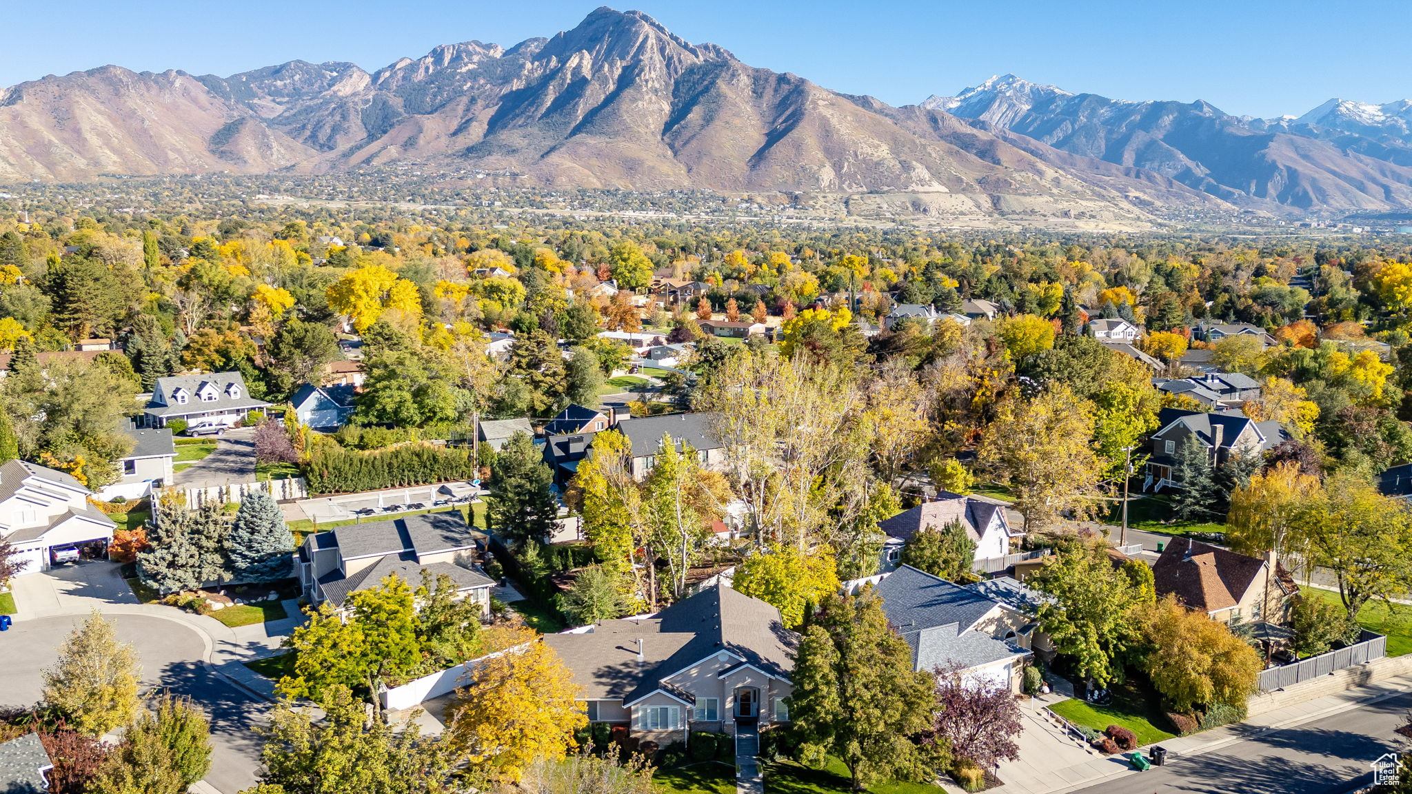 BEN COLT - Residential