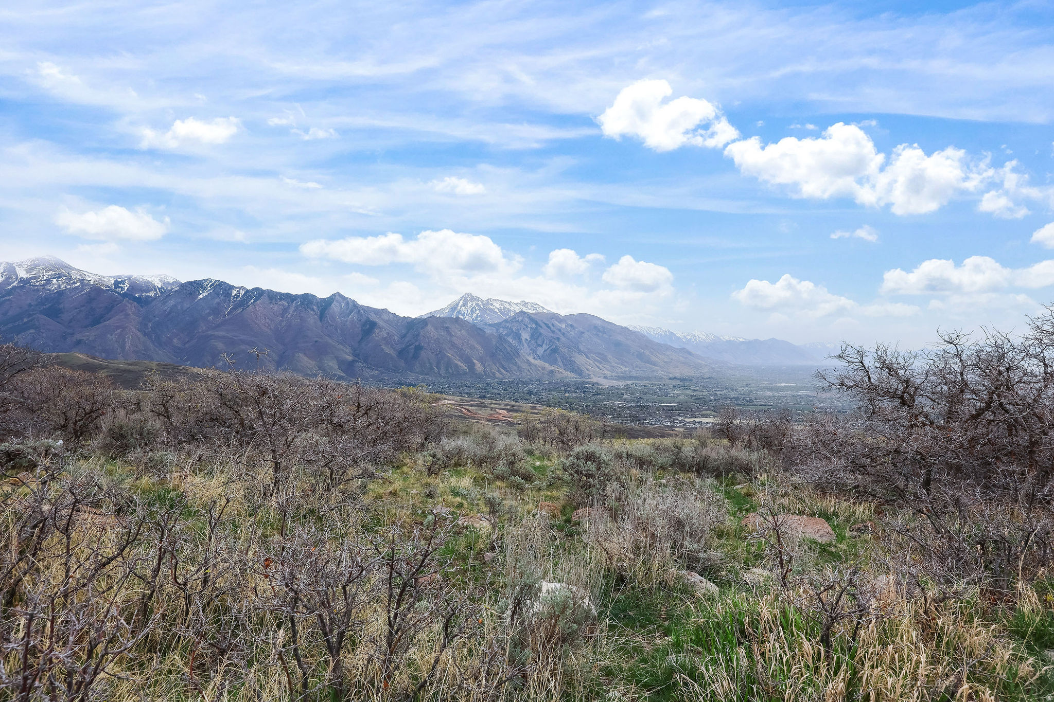 EAGLE CREST NO 1 AT SUNCREST - Residential