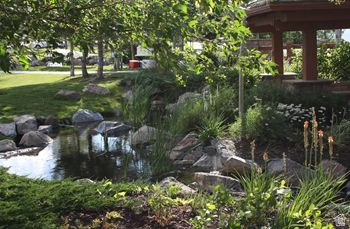 EAGLE CREST NO 1 AT SUNCREST - Residential