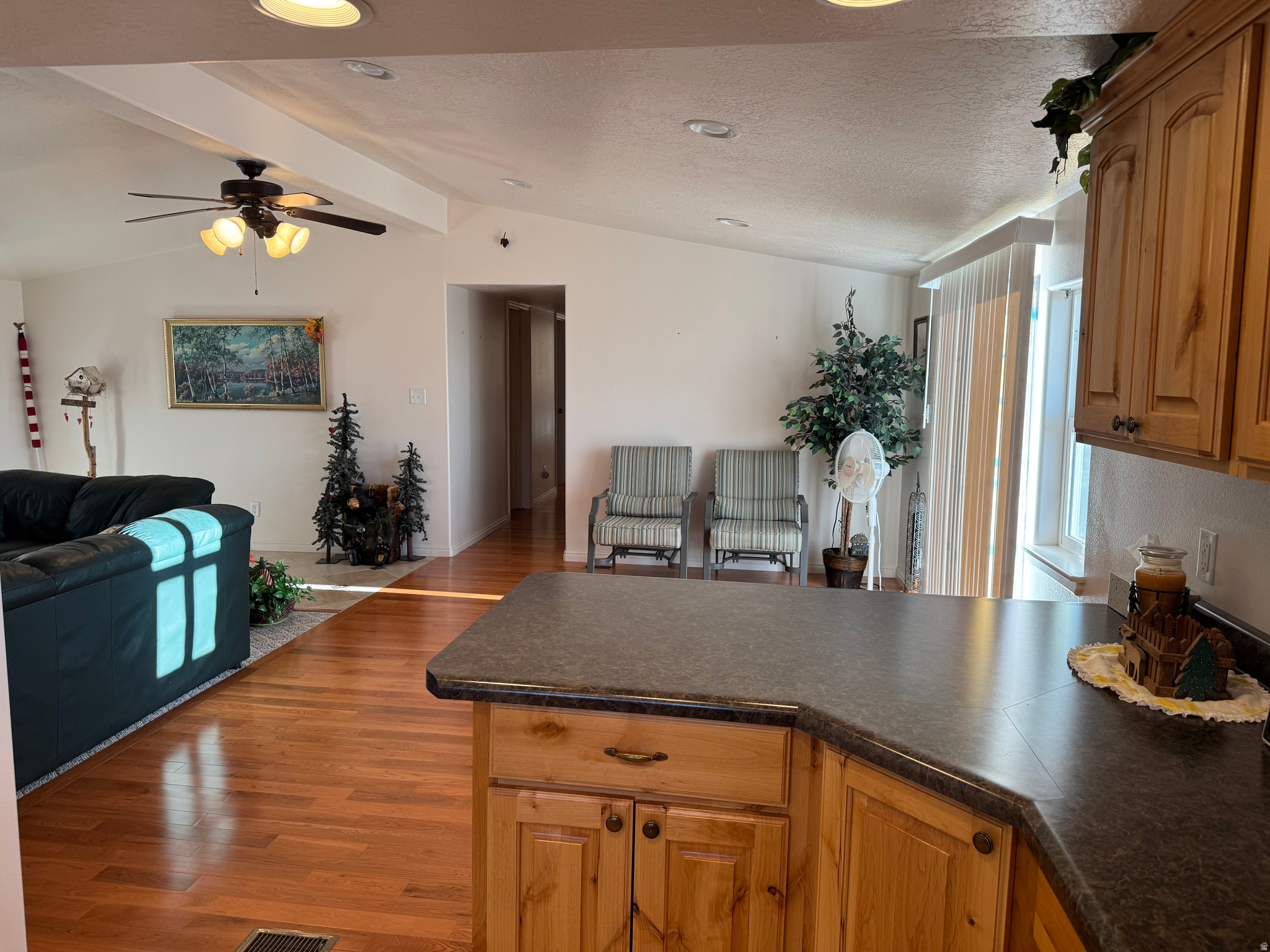 SKYLINE MOUNTAIN RESORT - Residential