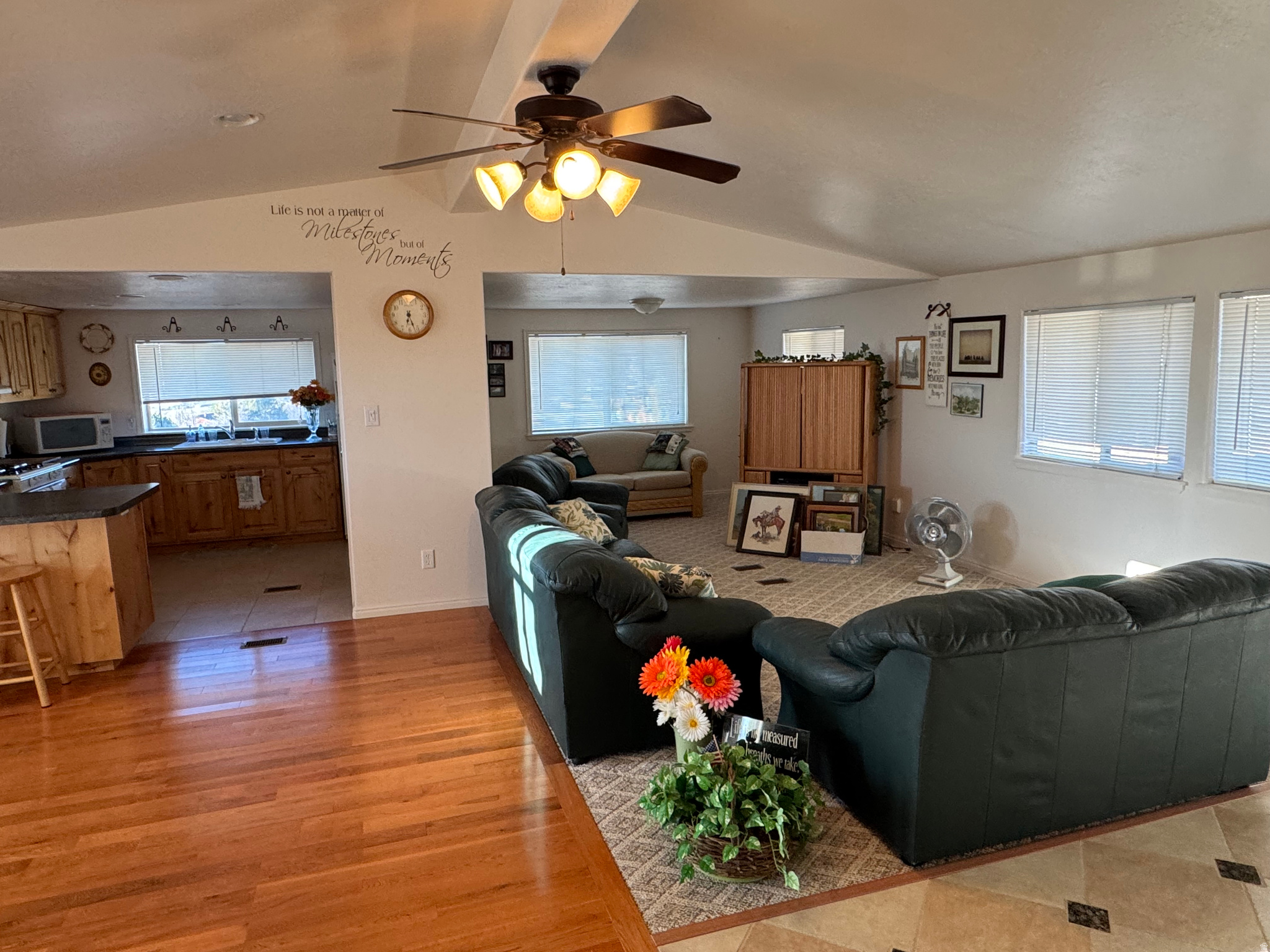 SKYLINE MOUNTAIN RESORT - Residential