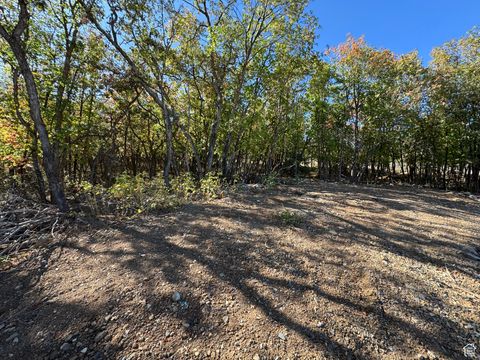 Tiny photo for 318 W LOAFER DR #209, Woodland Hills, UT 84653 (MLS # 2112649)