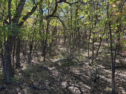 Tiny photo for 318 W LOAFER DR #209, Woodland Hills, UT 84653 (MLS # 2112649)