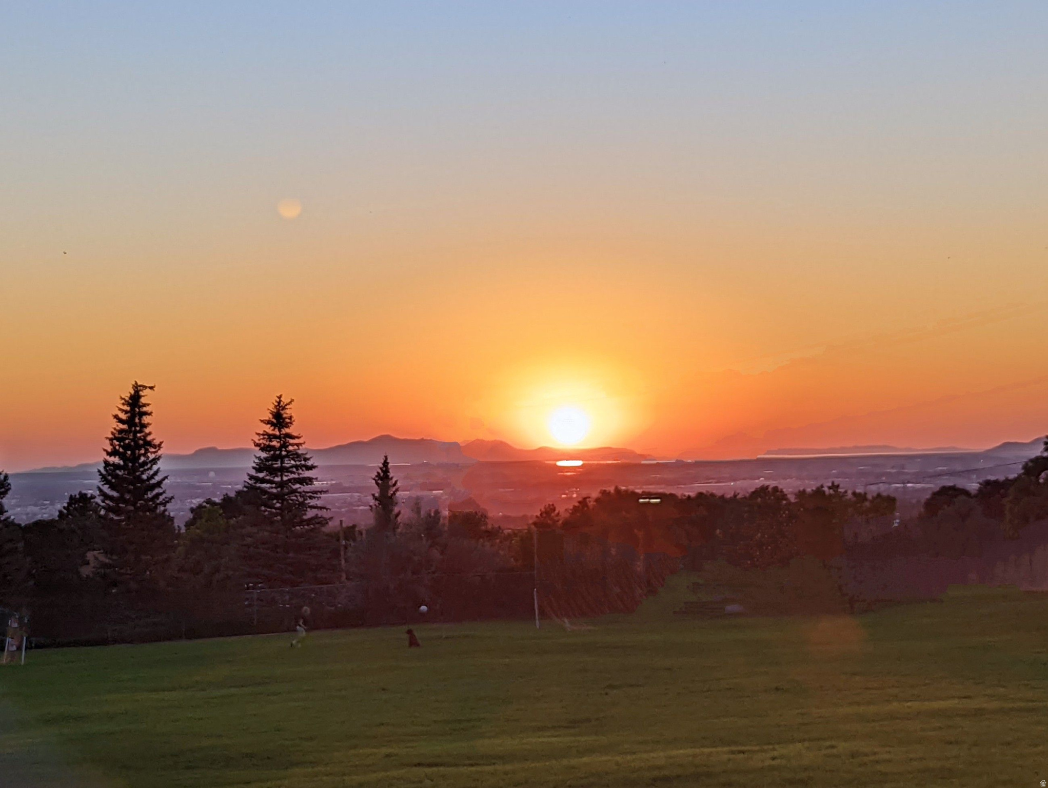 MAJESTIC HEI - Residential