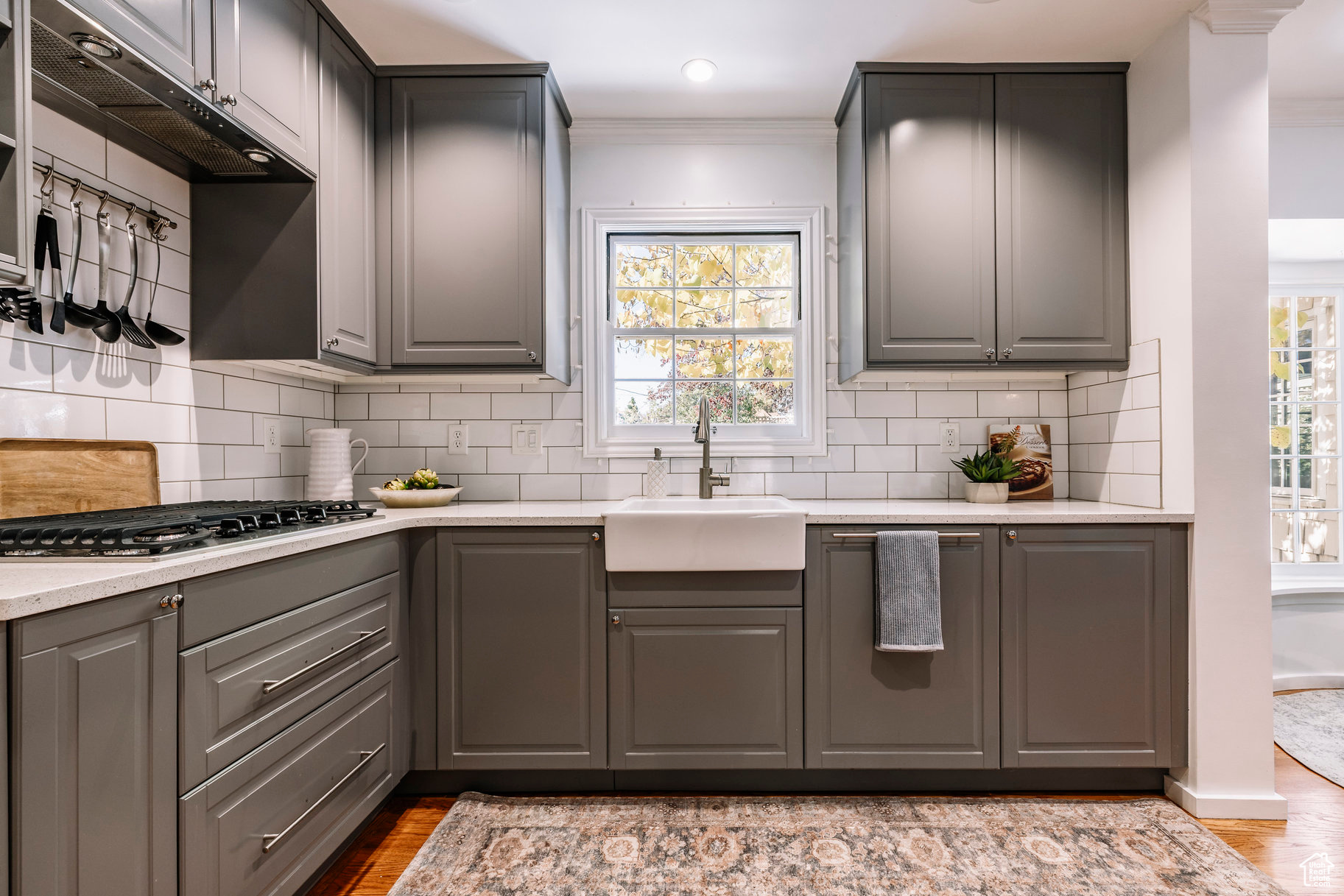 DOUGLAS PARK - Residential