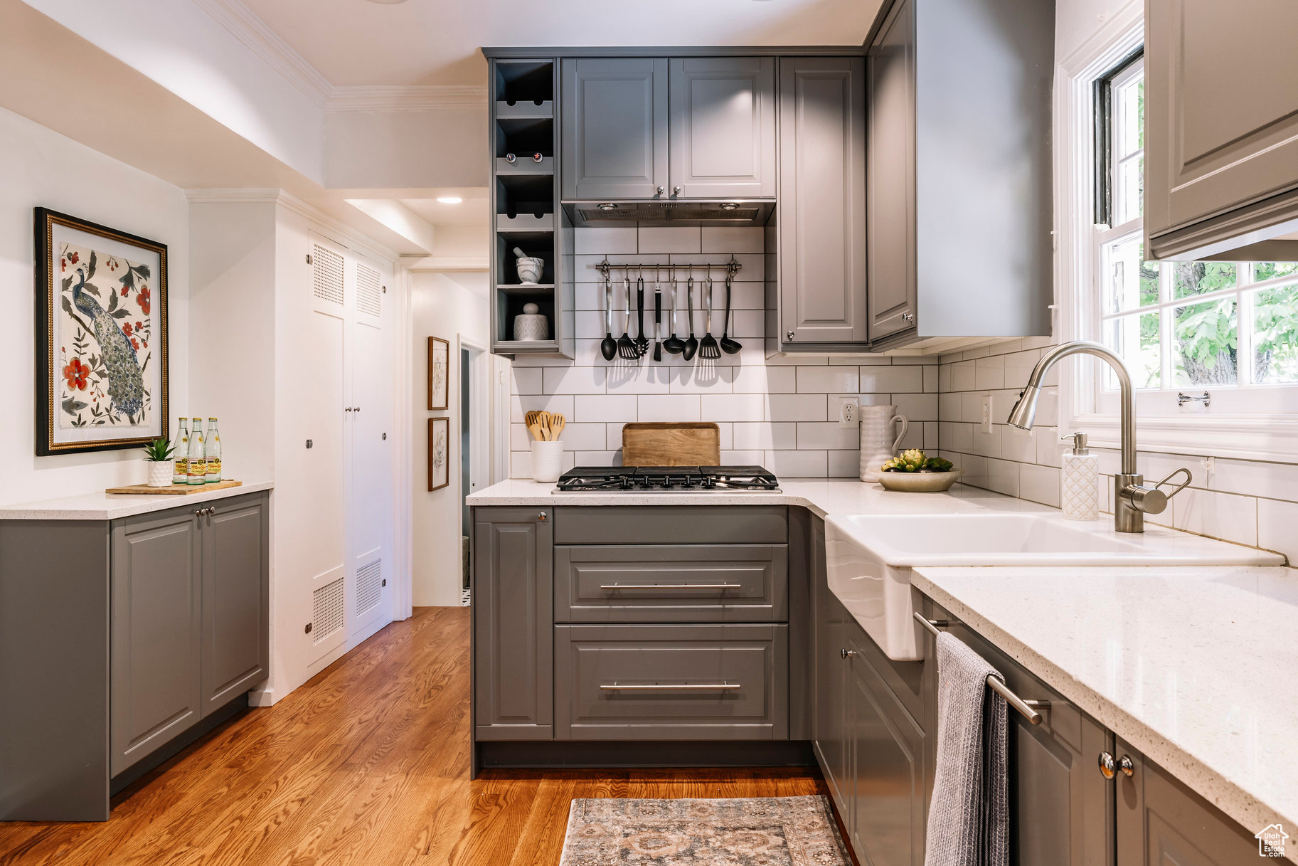 DOUGLAS PARK - Residential