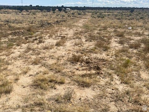 BUCKHORN MESA - Residential